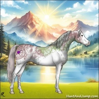 Horse Color:Watercolor White Spotted Chocolate Palomino