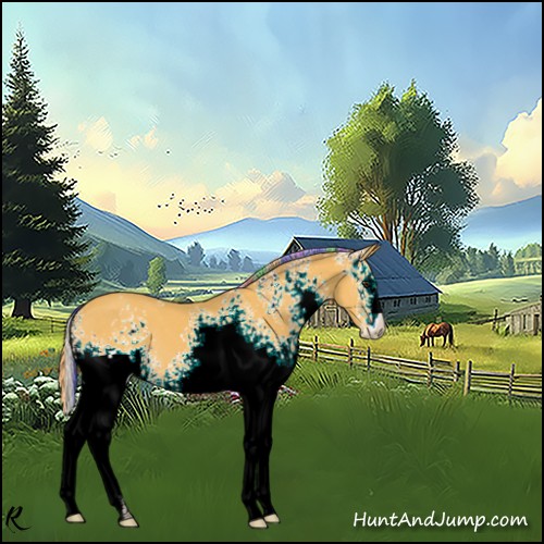 Horse Color:Painted White Spotted Silver Buckskin