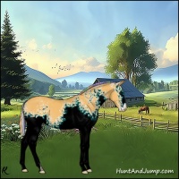 Horse Color:Painted White Spotted Silver Buckskin 