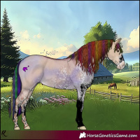 Horse Color:Painted White Spotted Red Dun 