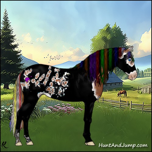 Horse Color:Painted Buckskin Roan Splash Tobiano Frame Appaloosa 