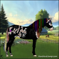 Horse Color:Painted Buckskin Roan Splash Tobiano Frame Blanket 