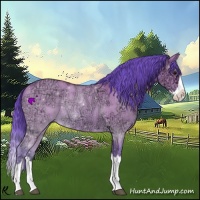 Horse Color:Watercolor Bay Ice Dun Splash 