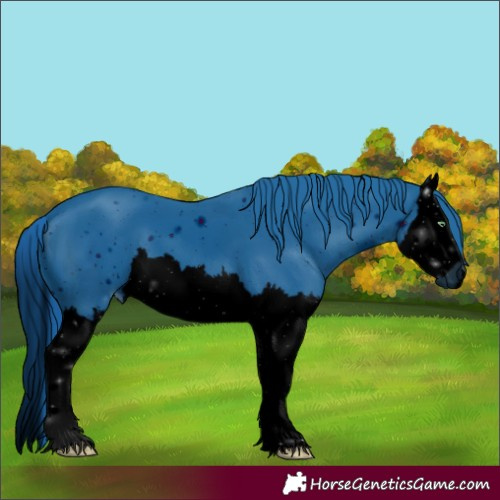Horse Color:ERROR: UNKNOWN ANOMALY