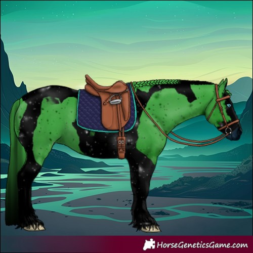 Horse Color:ERROR: UNKNOWN ANOMALY