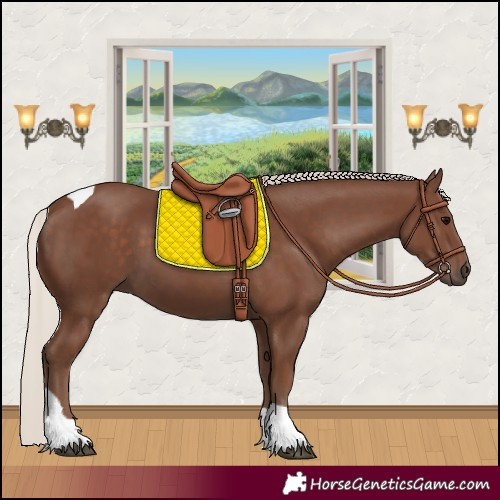 Horse Color:Silver Black Tobiano 