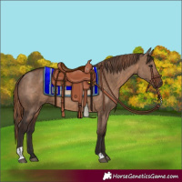 Horse Color:Bay Dun and Liver Red Dun
