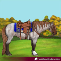 Horse Color:Liver Red Roan 
