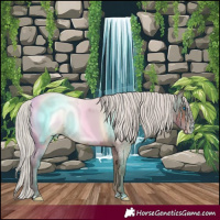 Horse Color:Silver Bay Roan Splash Snowcap Rabicano 