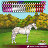Horse Color:White Spotted Chocolate Palomino Pearl Sabino Rabicano