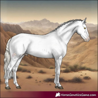 Horse Color:Palomino Near Leopard  and Gold Cream Champagne Near Leopard 