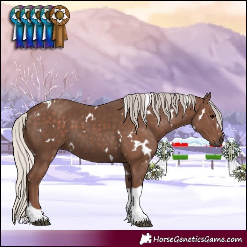 Horse Color:White Spotted Silver Black Tobiano 