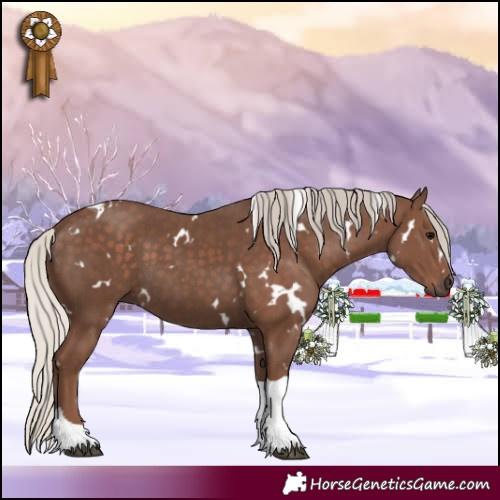 Horse Color:White Spotted Silver Black Tobiano 