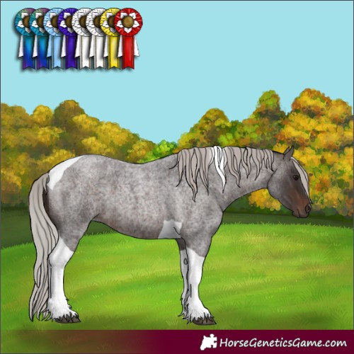 Horse Color:Silver Brown Roan Tobiano 