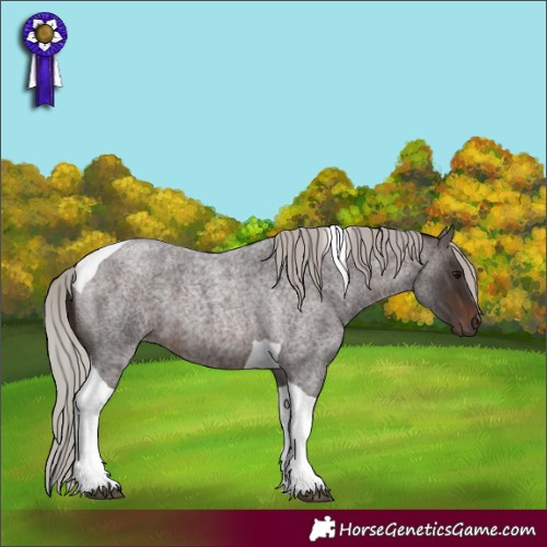 Horse Color:Silver Brown Roan Tobiano 