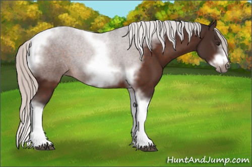 Horse Color:Silver Brown Sabino Tobiano Frame 
