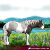 Horse Color:Silver Brown Sabino Tobiano Frame 
