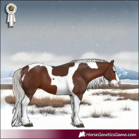 Horse Color:Silver Brown Splash Tobiano 