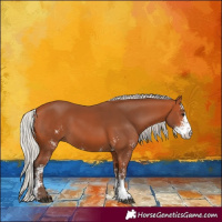 Horse Color:Silver Bay Sabino