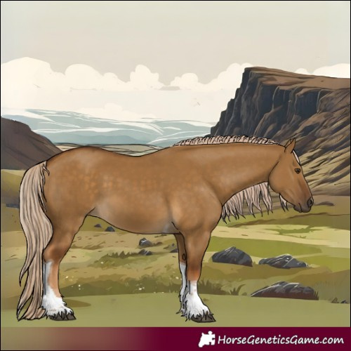 Horse Color:Chocolate Palomino Dun Tobiano 