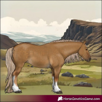 Horse Color:Chocolate Palomino Dun Tobiano