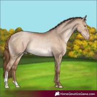 Horse Color:Brown Pearl Dun Rabicano 