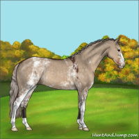 Horse Color:White Spotted Silver Brown Dun 