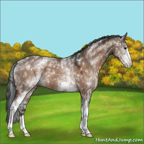 Horse Color:White Spotted Brown Dun 