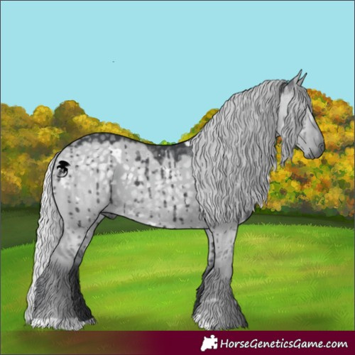 Horse Color:White Spotted Silver Grullo Chinchilla Brindle 