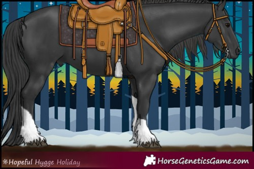 Horse Color:Black Tobiano 