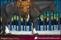 Horse Color:Black Tobiano