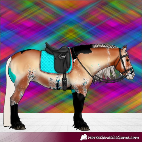 Horse Color:White Spotted Silver Bay Onyx Tobiano 