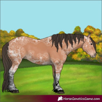 Horse Color:Void Bay Ice 