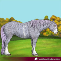 Horse Color:Watercolor Gold Champagne Ice Sabino 