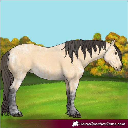 Horse Color:Buckskin Ice 
