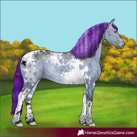Horse Color:Painted Bay Chinchilla Dun Tobiano Brindle 