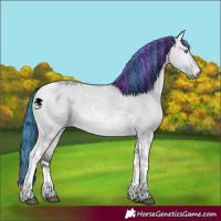 Horse Color:Painted Bay Chinchilla Dun Tobiano 
