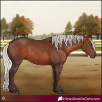 Horse Color:Silver Brown 