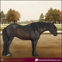 Horse Color:Brown 