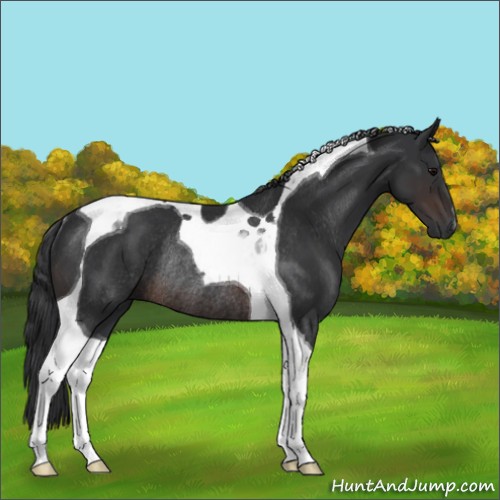 Horse Color:Brown Tobiano Rabicano