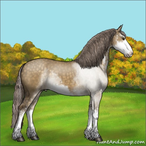 Horse Color:Chocolate Palomino Dun Sabino 