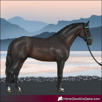 Horse Color:Brown 