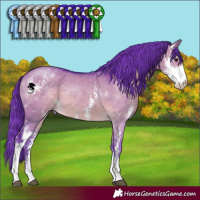 Horse Color:Watercolor Brown Dun Sabino Rabicano 