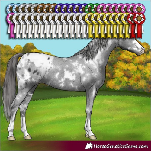 Horse Color:White Spotted Black Varnish