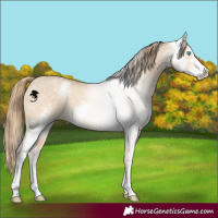 Horse Color:Perlino Dun Sabino 