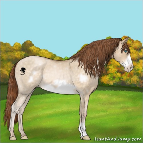 Horse Color:Buckskin Pearl Dun Frame 