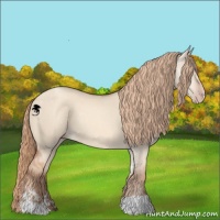 Horse Color:Gold Champagne Dun Sabino 