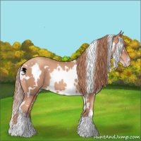 Horse Color:White Spotted Gold Champagne 