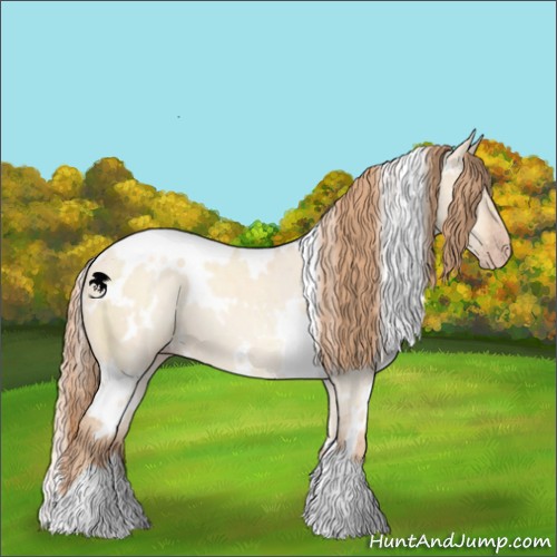 Horse Color:White Spotted Gold Champagne Dun