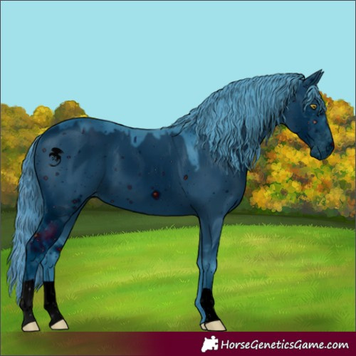 Horse Color:ERROR: UNKNOWN ANOMALY
